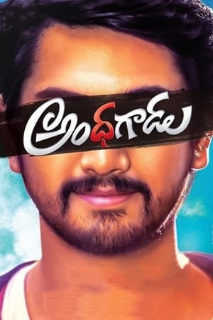 Andhhagadu 2017 Hindi Dual Audio 720p Uncut HDRip [1.4GB]