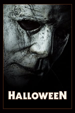 Halloween (2018) Hindi Dual Audio 480p BluRay 330MB