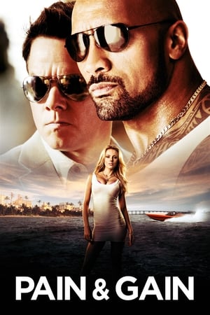 Pain & Gain 2013 Dual Audio Hindi 720p Bluray [1.10GB]