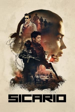 Sicario 2015 Hindi Dual Audio 480p BluRay 350MB