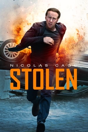 Stolen (2012) Hindi Dual Audio 720p BluRay [800MB] ESubs